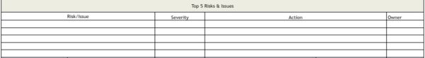 top 5 project risks & issues listing in status reporting