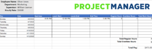 Timesheet / Time Tracking Template - ProjectManager.com