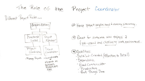 The Role of the Project Coordinator
