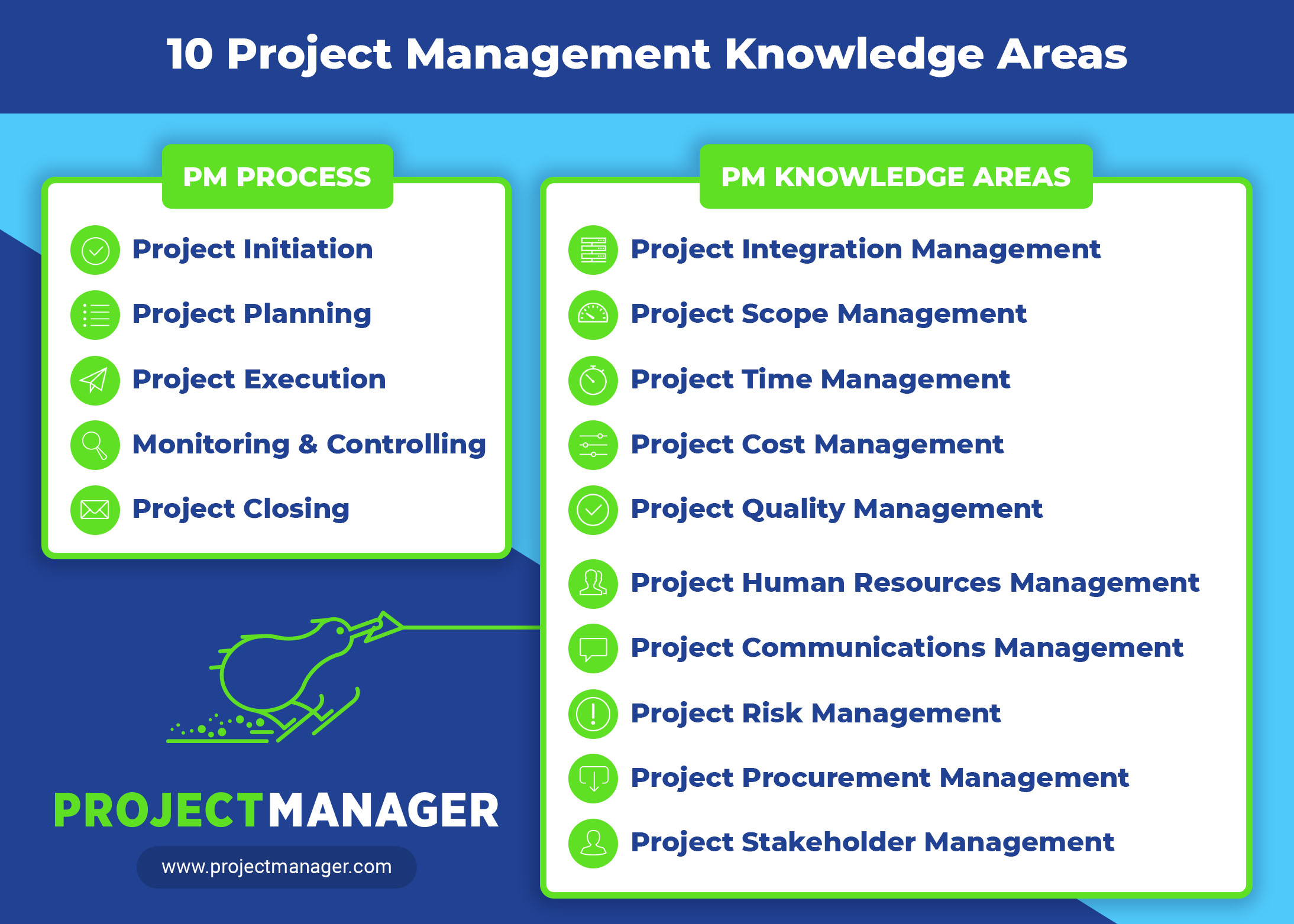 project management knowledge areas case study