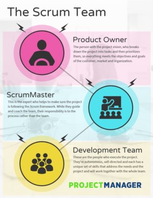 Scrum Roles: The Anatomy of a Scrum Team - ProjectManager.com