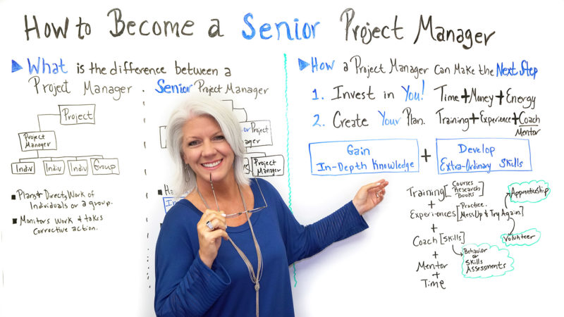 Senior Project Manager Job Description ProjectManager