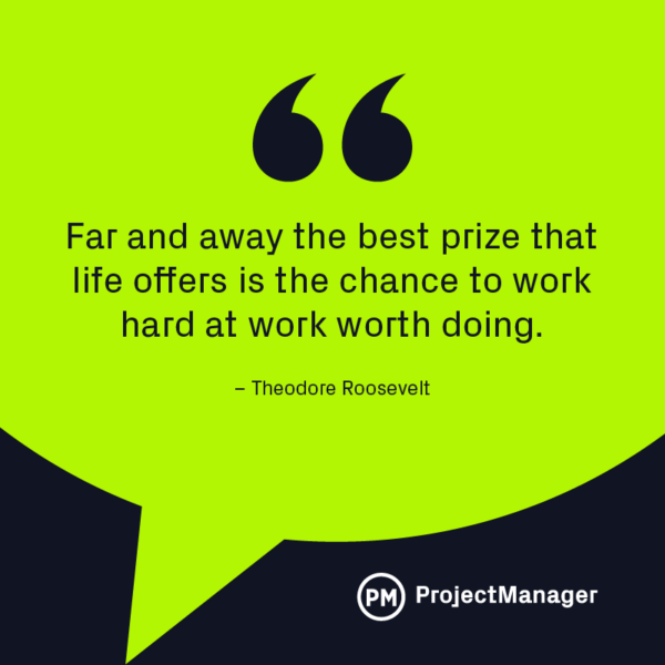 Theodore Roosevelt business quote