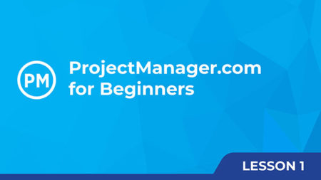 Training Course: ProjectManager.com For Beginners - Learn The Software