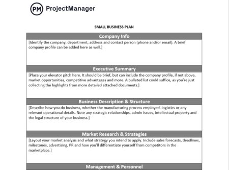 Free Small Business Plan Template for Word - ProjectManager