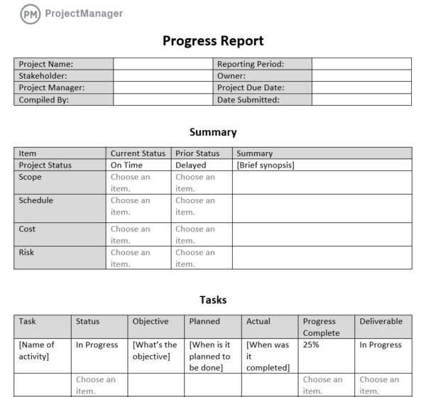 progress report template excel