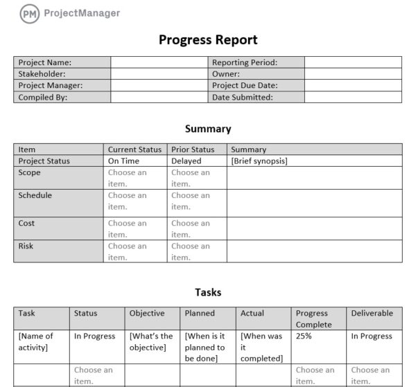 Progress Report Template 2022 