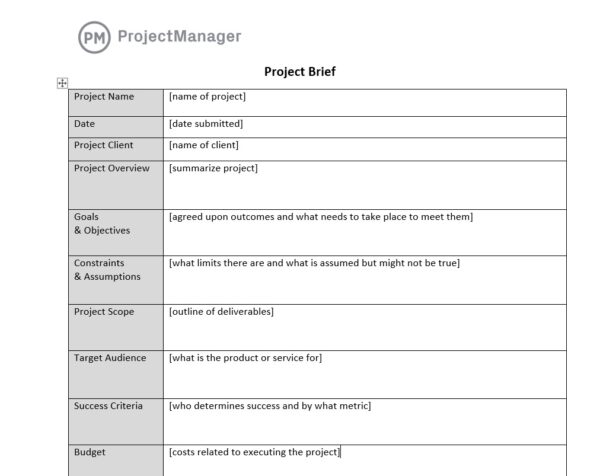 How To Create A Project Brief Example Included ProjectManager