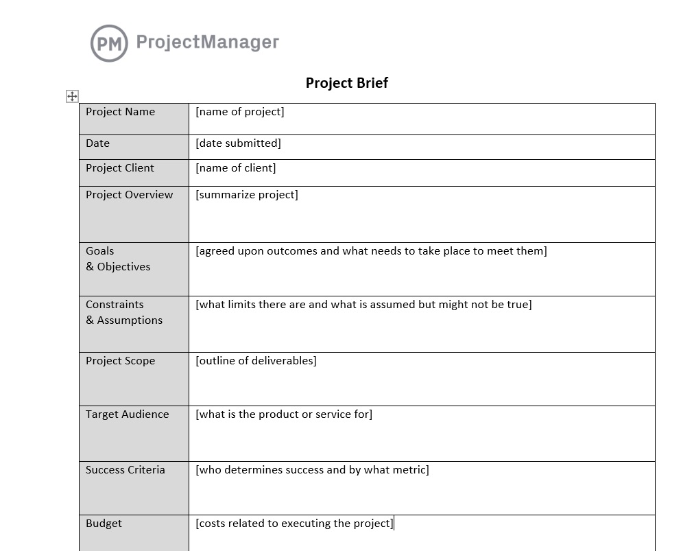 Project Brief Template for Word (Free Download)