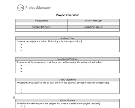 Project Documentation: 15 Essential Documents ProjectManager
