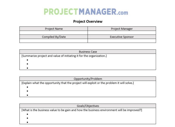 Project Overview Template - ProjectManager.com