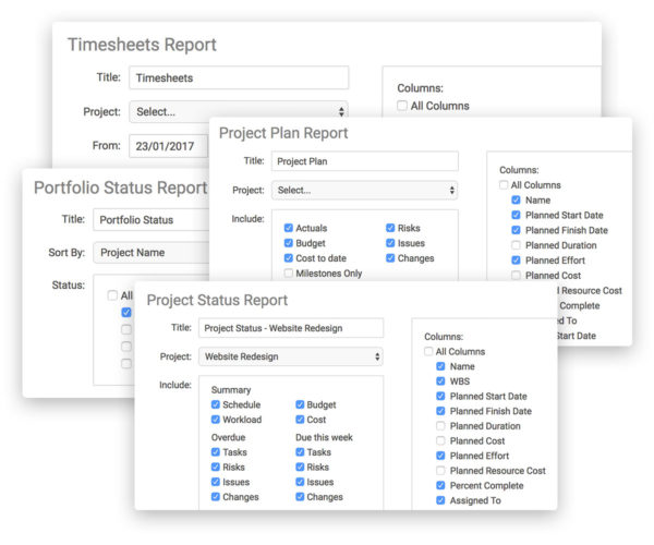 Project report options in projectmanager