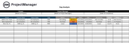 Gap Analysis Template for Excel (Free Download) - ProjectManager