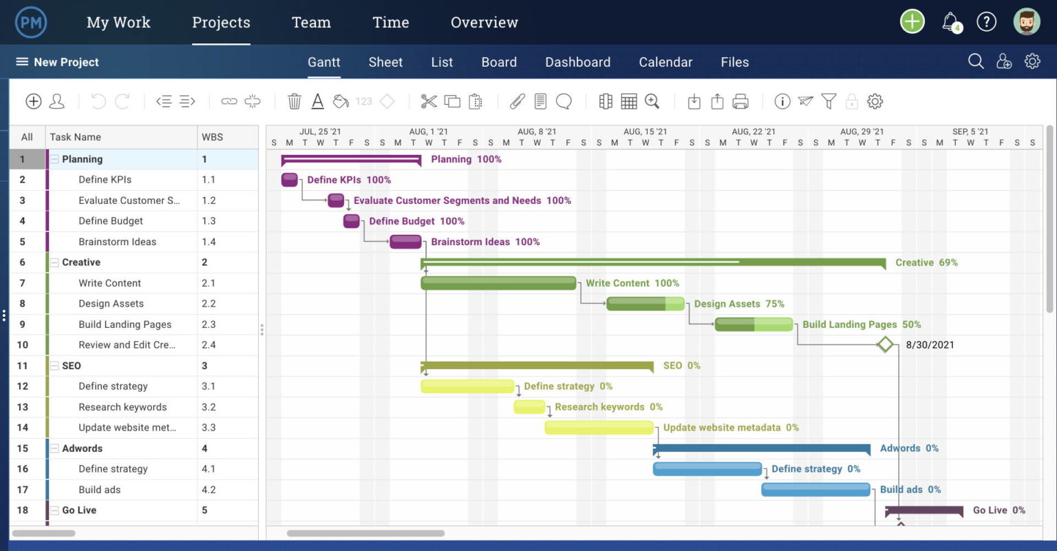 Controlling Process Steps in Business Management