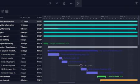 PMO Software - ProjectManager