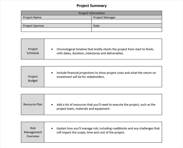 Project Summary Template For Word Free Download 