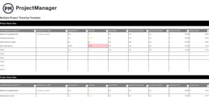 Multiple Project Tracking Template - ProjectManager