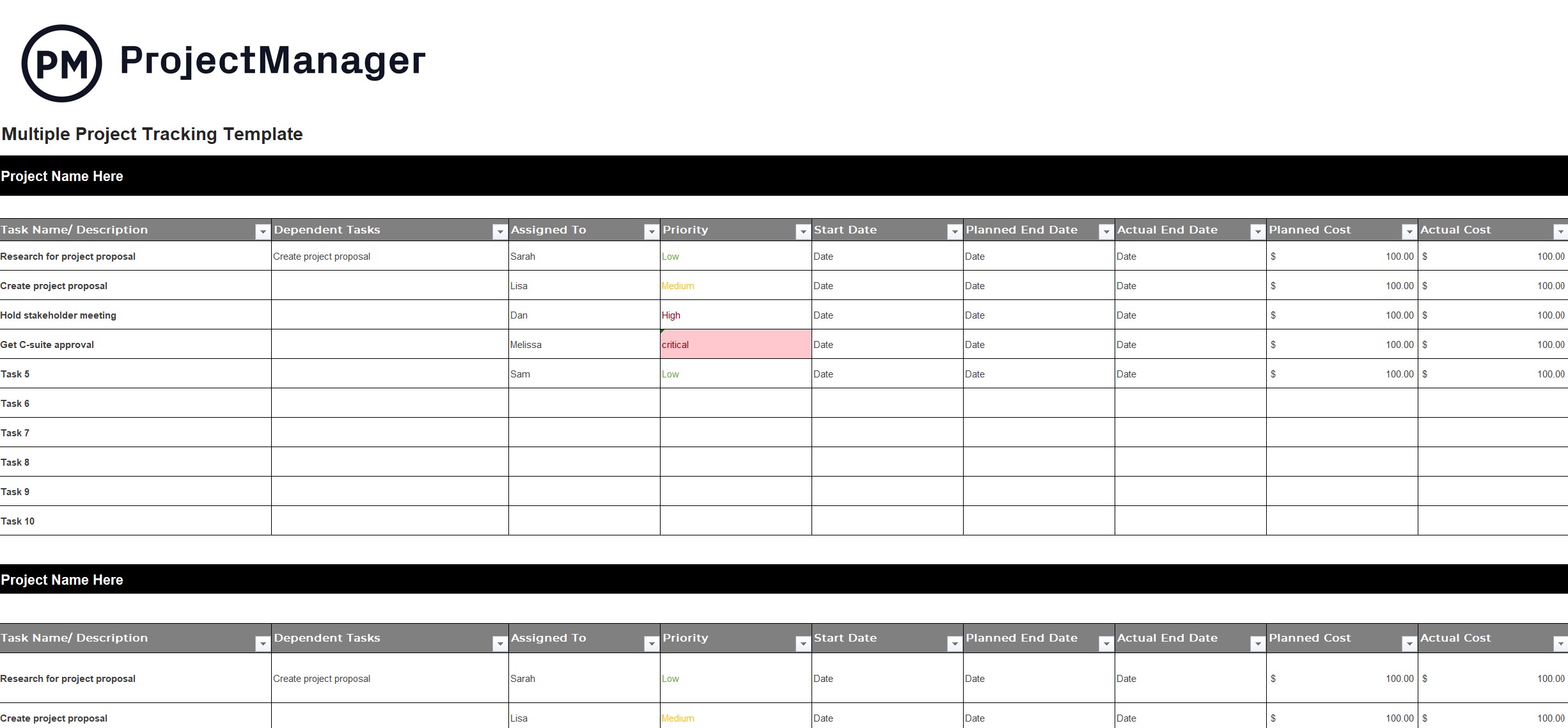Multiple Project Tracking Template ProjectManager