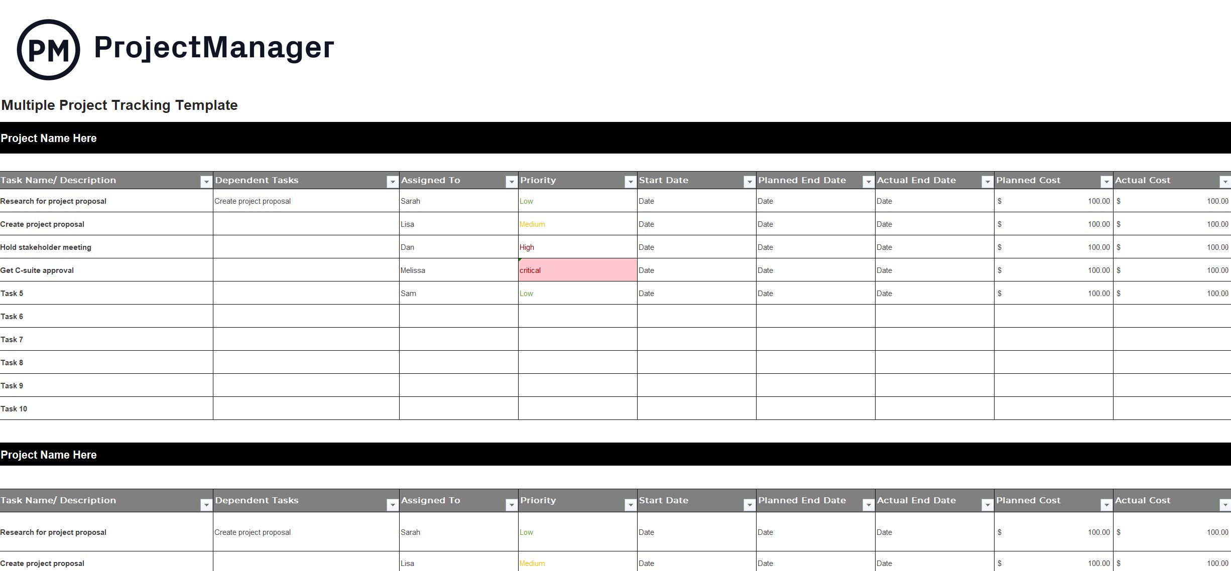 ProjectManager's multiple project tracking template