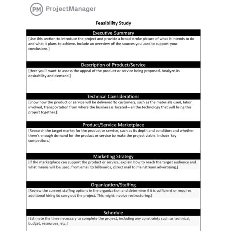 Feasibility study template ProjectManager