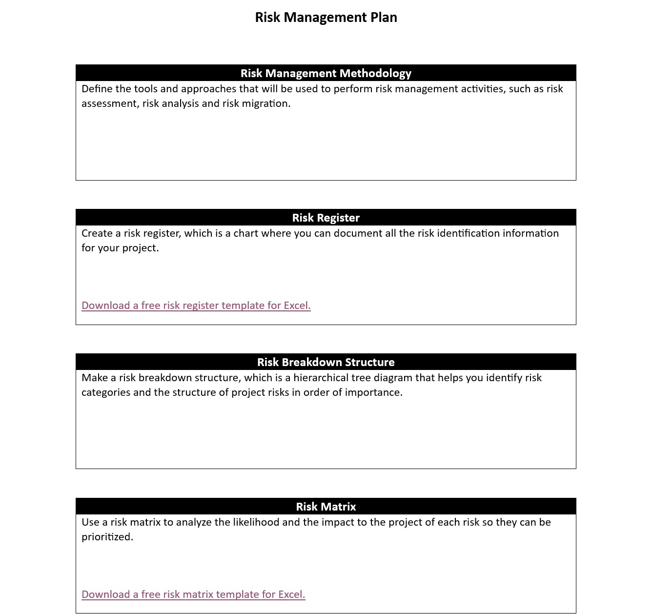 Risk management plan template for Word