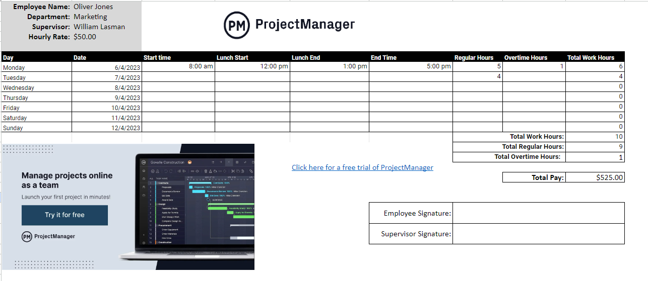 ProjectManager timesheet template