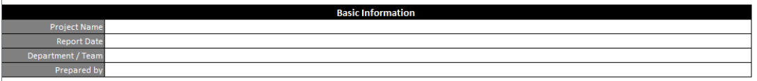 ProjectManager's daily report template, basic information